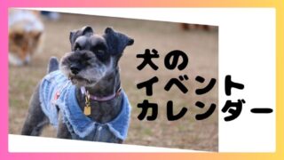 犬のイベントカレンダー